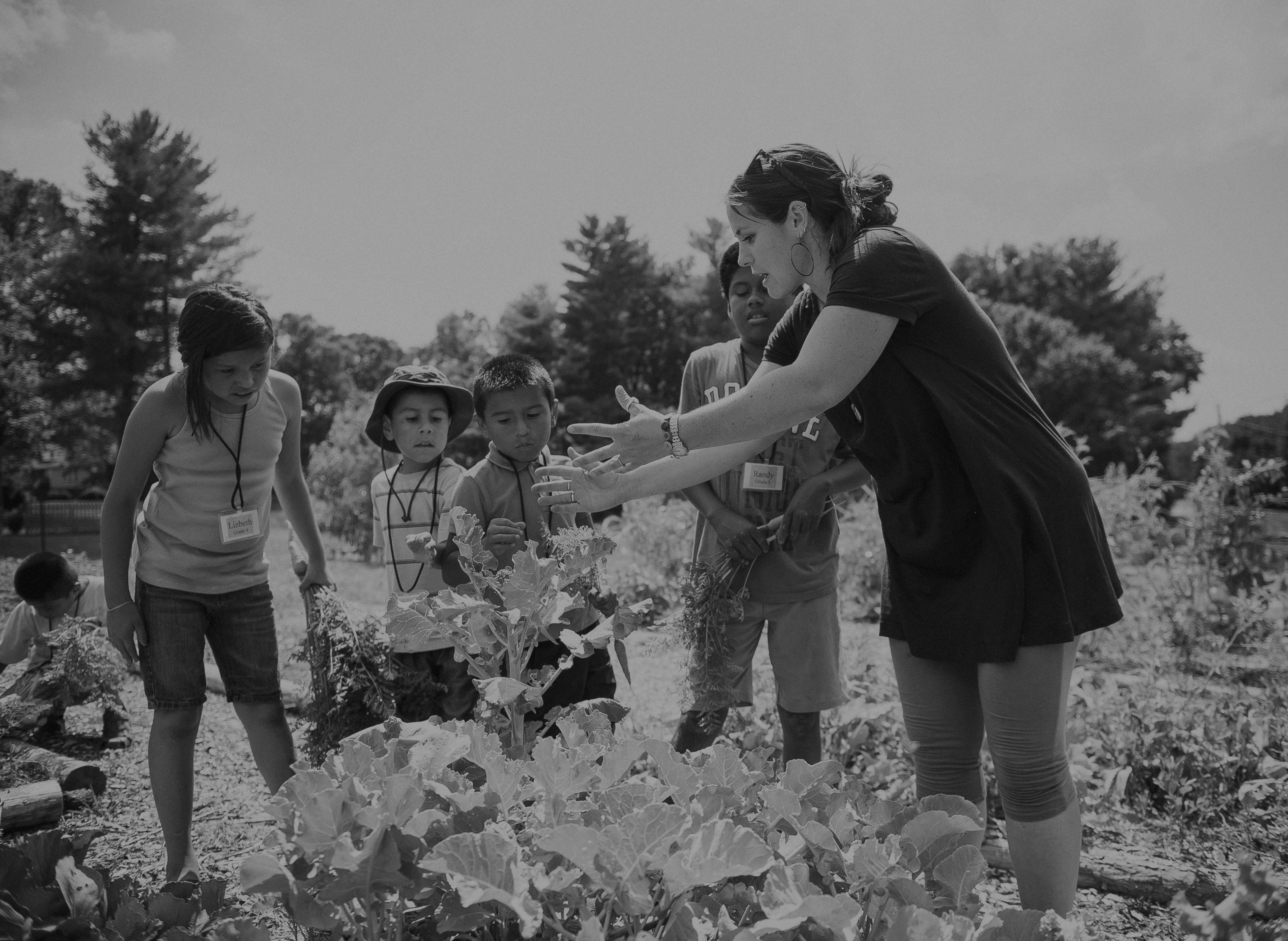Mission Impact Integration